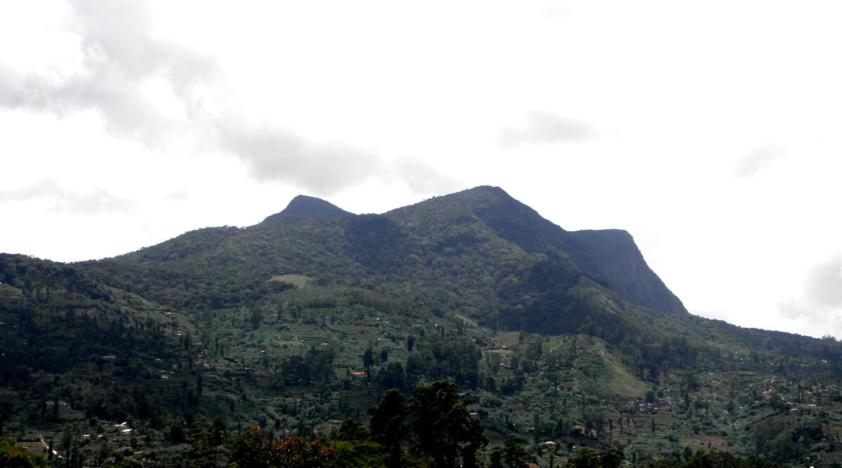 Hakgala Botanical Gardens